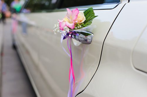 Customization Options In A Stretch Limo For Wedding In Crystal Lake