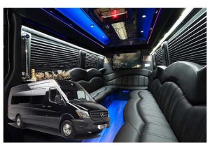 Party Bus Chicago, Chicago Party Bus, Party Bus Chicago IL, Party Bus Chicago Weddings, Corporate Events, Group Transportation, Bachelor Party, Bachelorette Party, Group Outing, Special Occasion, Party Bus Rental, Party Bus Chicago Suburbs, O'Hare Airport, Book, Hire, Rent, Reserve, Order