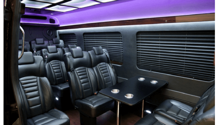 Sprinter VIP Coach
