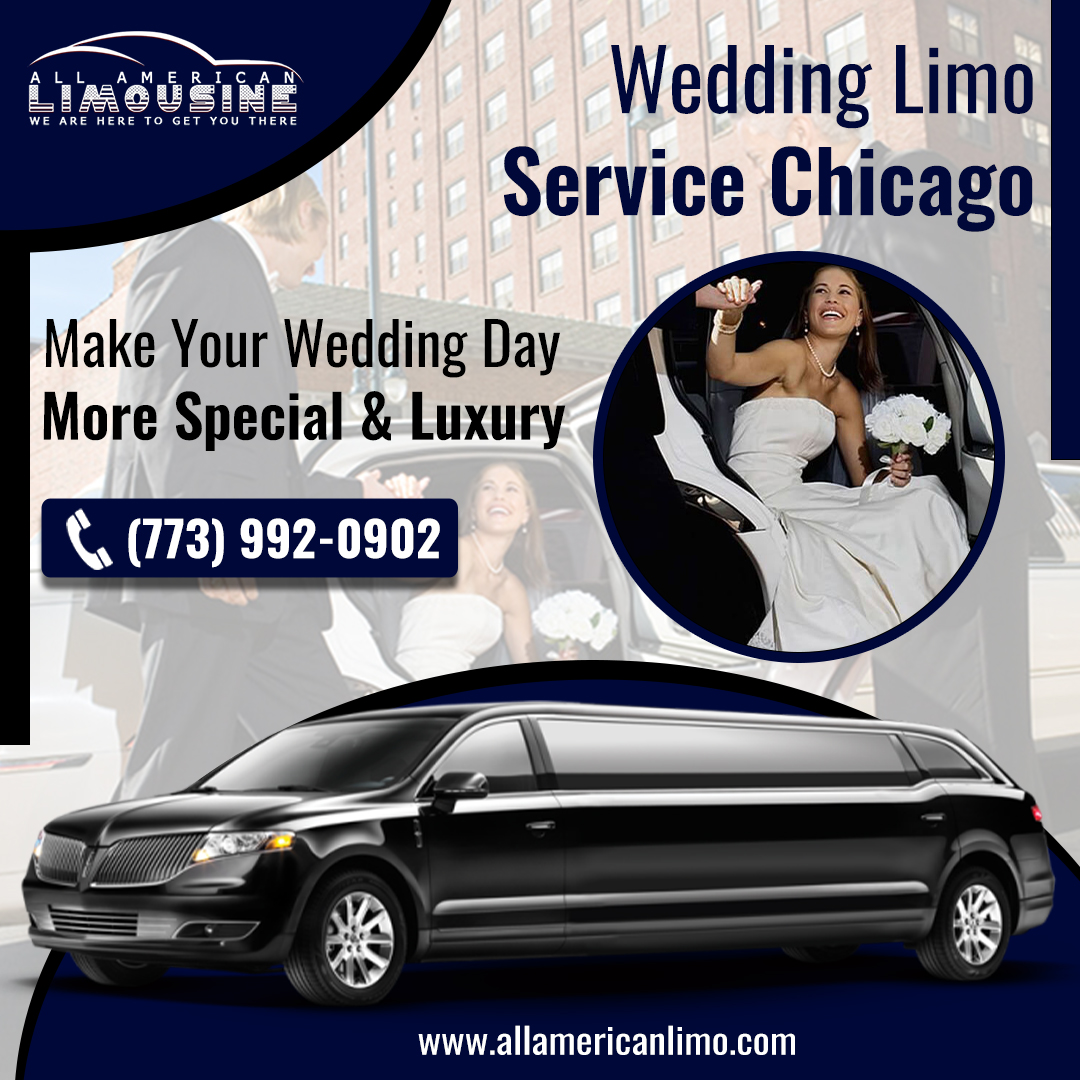 Party Bus Chicago Suburbs IL, Wedding Transportation Chicago Suburbs Cost, Rent Party Bus for Wedding, Book Party Bus Chicagoland Suburbs