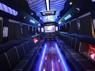 Affordable Party Bus Chicago