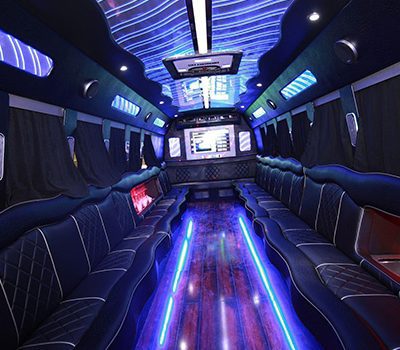 Affordable Mini Party Bus Chicago