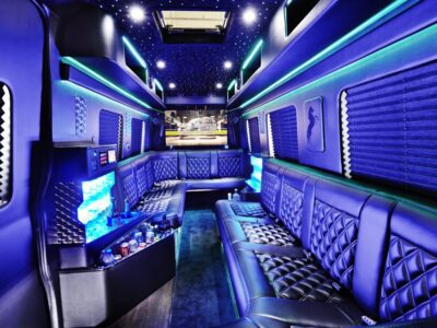 Mini Party Bus Chicago, Book Small Limo Bus Chicago, Hire, Reserve